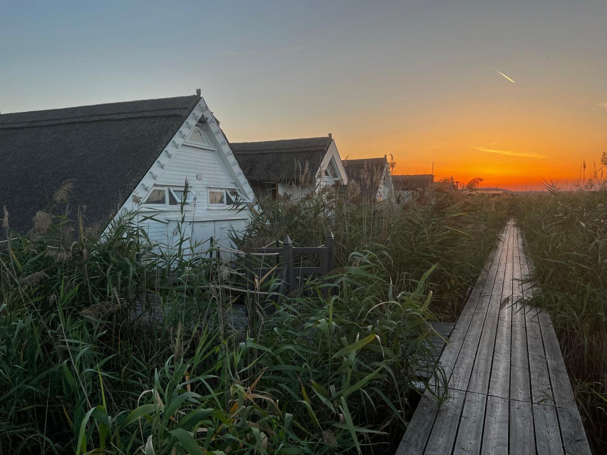 Seehuette Neusiedlersee - Seehaus Inklusive Elektroboot Rust Esterno foto