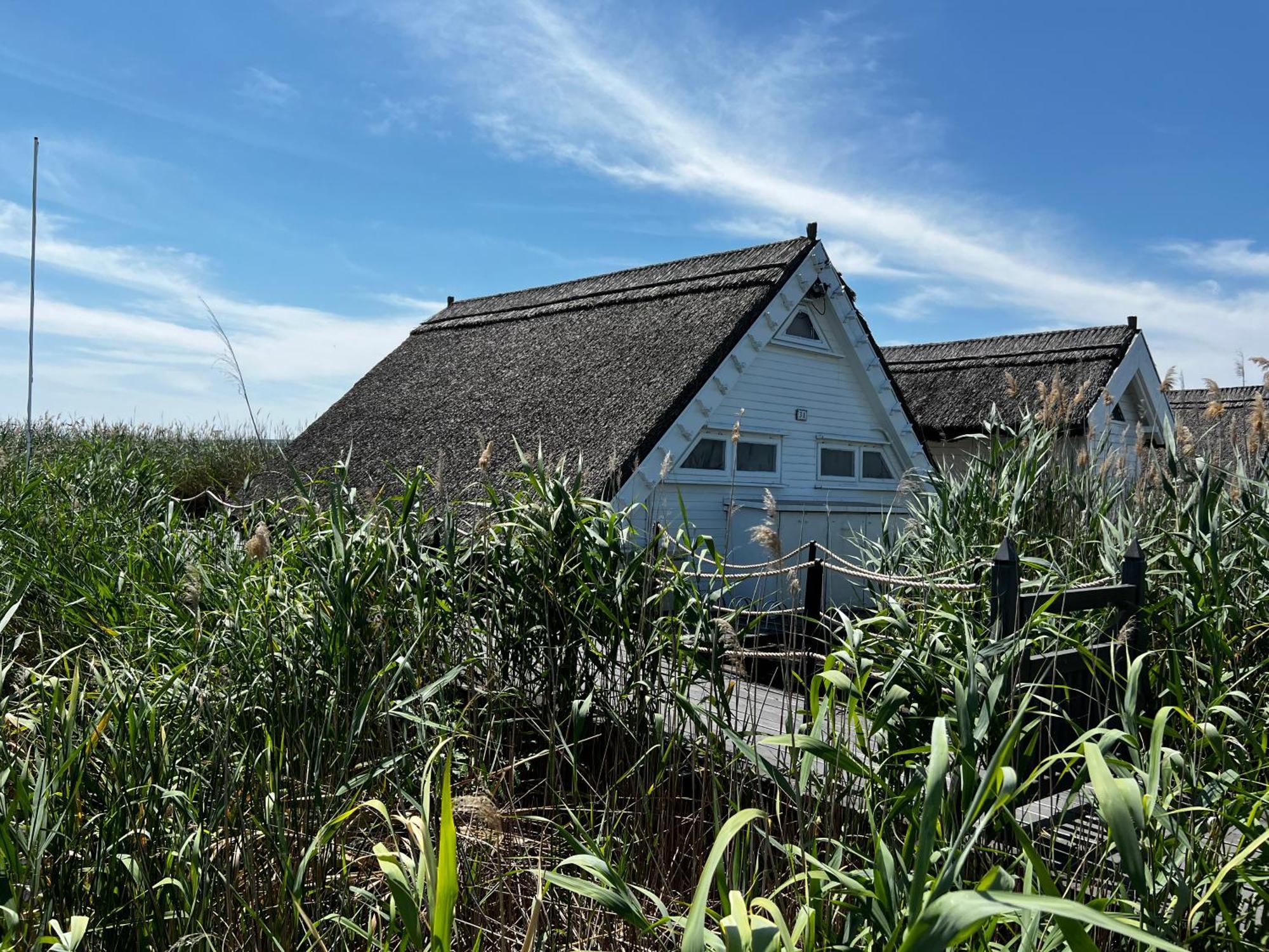 Seehuette Neusiedlersee - Seehaus Inklusive Elektroboot Rust Esterno foto